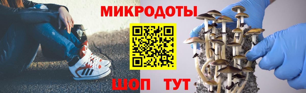 Псилоцибиновые грибы Psilocybine cubensis Гудермес