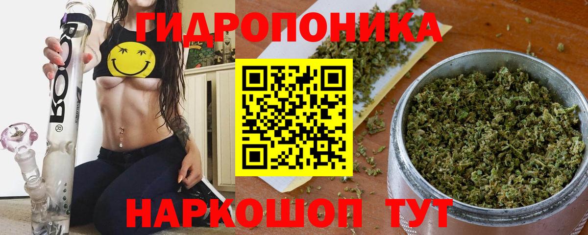 Шишки марихуана конопля  Вход с VPN  МАРИХУАНА гибрид  Бошки марихуана LSD WEED  Бошки Шишки SATIVA & INDICA  Гудермес 