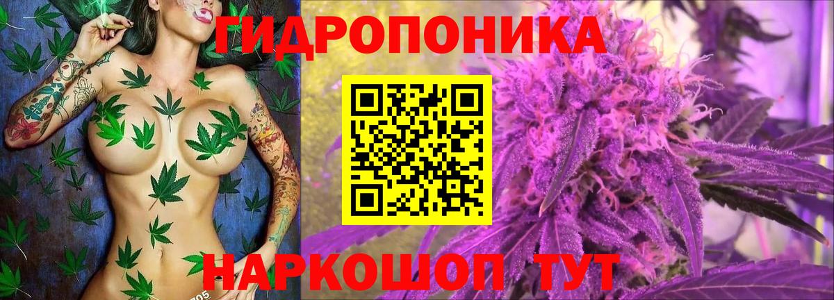 Марихуана ГИДРОПОН Гудермес